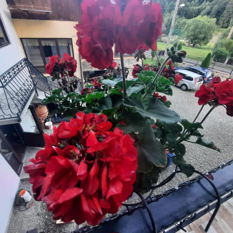 Casa Dana Olteanu Hotel Moeciu De Sus Exterior photo