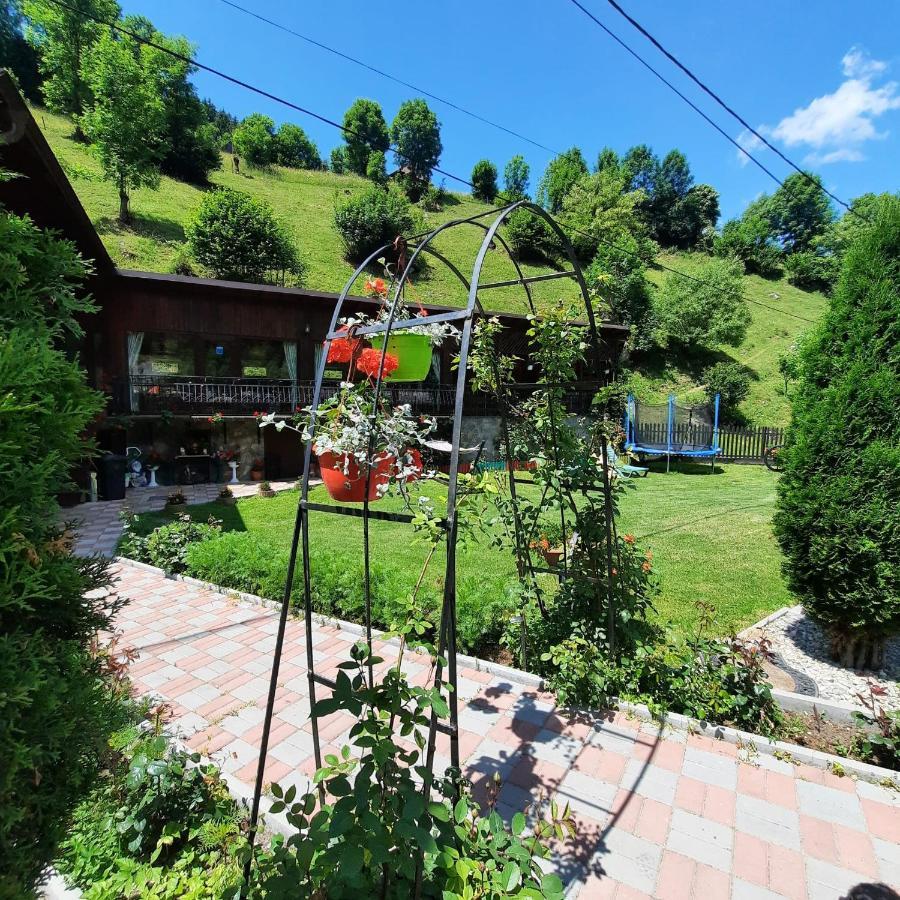 Casa Dana Olteanu Hotel Moeciu De Sus Exterior photo